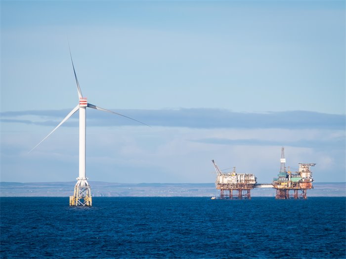 Associate Feature: Scotland's deep green seas
